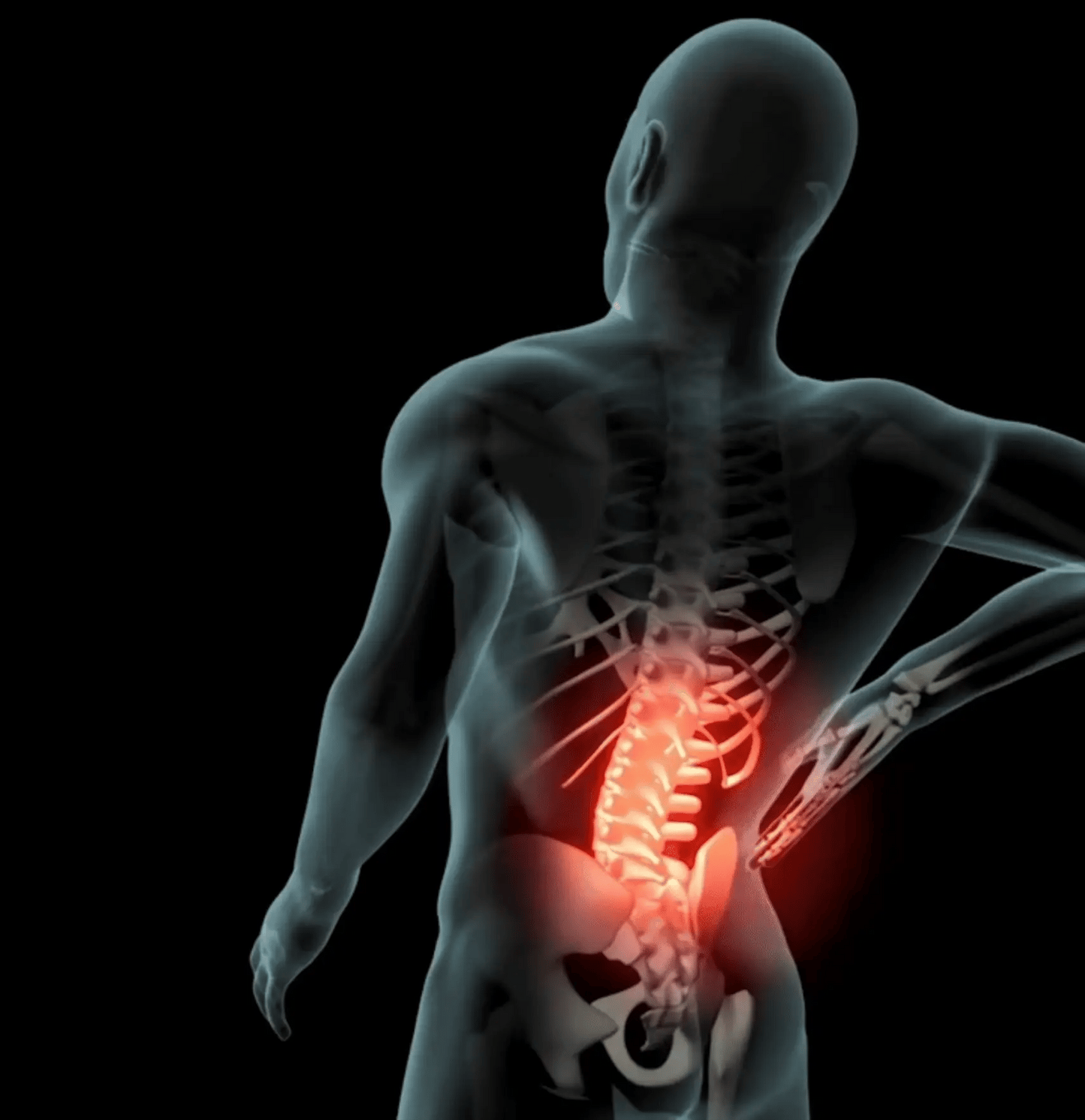 valuxe termo vibra lombare pro